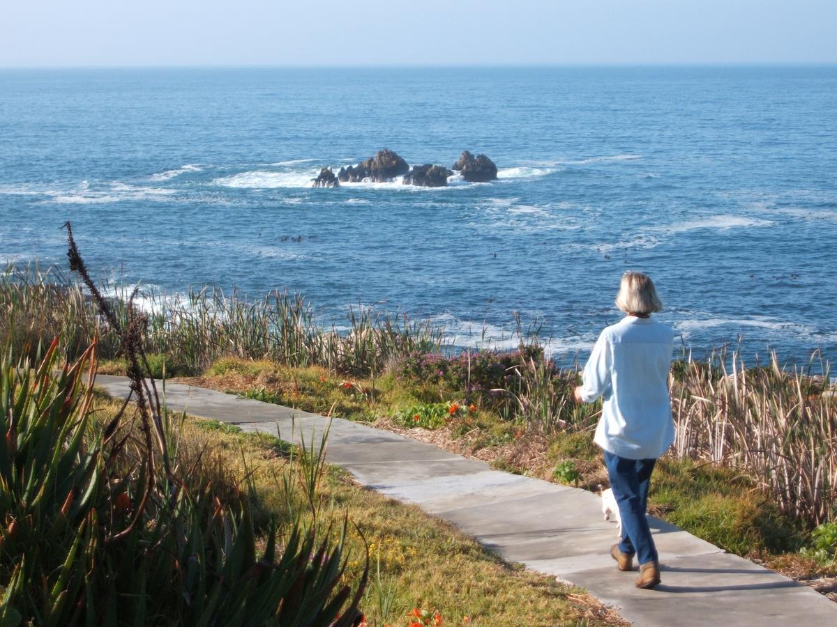 Smuts Ave. Guest Rooms Hermanus Luaran gambar